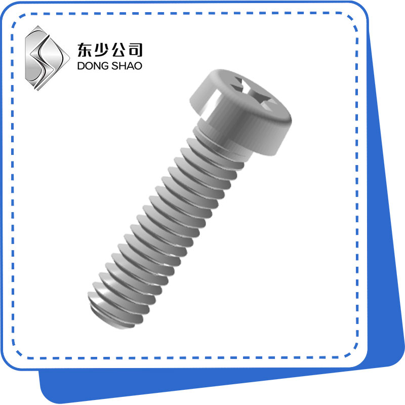 Cross Recessed Cheese Head Screws များ