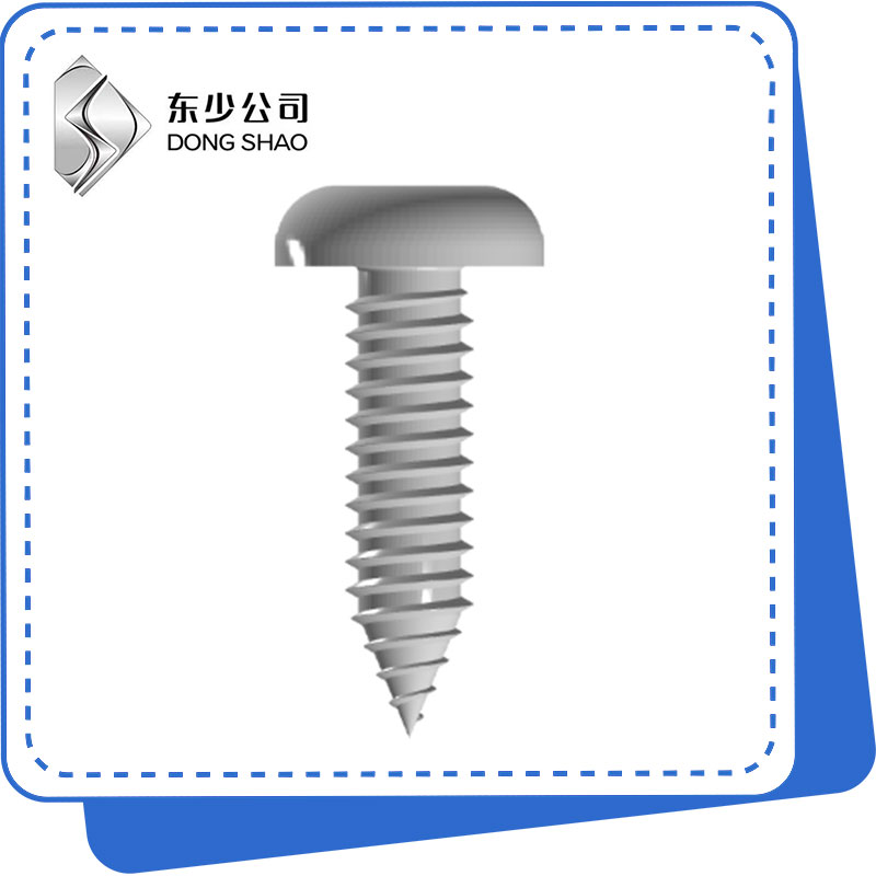 Slotted Pan Head Tapping Screws များ